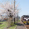 花咲く嘉瀬駅にて