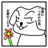 今日のじょん　世界に一つだけの花