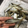 鯵を食べるー
