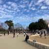 堺 「大泉緑地」がとっても素敵で大きな公園です！みんなで訪れよう！その理由とは？！