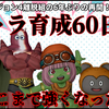 バージョン4離脱組の６年ぶりの壮絶なるキャラ育成６０日間！どこまで強くなった？そして一番つらかった育成は？