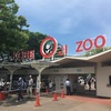 王子動物園は動物園らしくない動物園