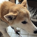 現役家庭教師の ひとりごと ブログ