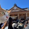 【旅行記】　あずきちゃんがいっぱい43　猫神様との三社参り