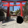 VIPSの将来を神頼みしてくるｗｗｗｗ〜富岡八幡宮〜