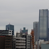 昨日のアレは何だったのだろう。