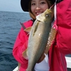 ジグでイサキを釣ろう🎣