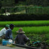 平均縮み健康延びる