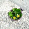 子どもの悩みは、ついつい 自分の悩みになりがちですが・・