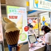今年の夏はこれ！東京ばな奈ソフトクリーム海老名SA下り限定〇〇味レビュー