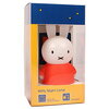  Nijntje Pluis (Miffy) *