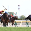 競馬初心者必見☆馬券予想🔥〜NHKマイル〜ハイレベルなNZT組から入ります！