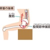 身体の使い方シリーズその155『改めて骨盤後傾を考える』尿漏れ・産後のケア・呼吸のインナーユニットにも役立つ骨盤底筋も鍛えられ腰椎前弯の腰痛予防にもオススメです‼︎そのコツも少し触れています。