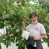 今が時期です！福島でさくらんぼ狩りしました♪🍒