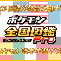 色違い粘り De English 色粘り用語 英語だと何と言うの Club Shiny S Blog 2号館