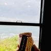 いぶたまプリン　のある”指宿のたまて箱”車内風景　プチ鹿児島旅⑤