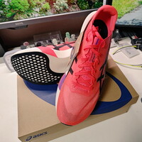 ASICS METASPEED EDGE TOKYO 買っちゃった