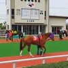 【石川】地方競馬とノープラン散策