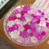 富山県中央植物園を巡る ①（富山県富山市）
