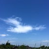 今日の空