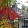 奈良公園・浅茅ヶ原園地の紅葉２０２１年（１１月下旬）