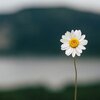 手詰まりを感じる時期は、日常のルーチン作業を丁寧にやってみる。