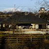 芹川遊歩道から