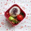 2024年6月24日のお弁当　