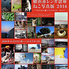 横浜赤レンガ倉庫ねこ写真展2016