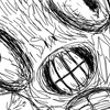 face of the fish