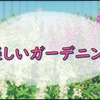 花壇の新たな仲間たちの話と低木ゾーンの発展を計画する雑記