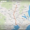 【自転車】宇都宮１００ｋｍチャレンジ２