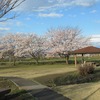 群馬の桜も咲き始めた