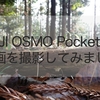 実写レビュー！動画をyoutubeにアップ！DJI Osmo Pocket（オズモポケット）はやっぱり旅カメラに使えます！