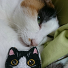 猫の刺繍ブローチ（１６個目）