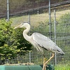 場によって引き出される私