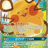 架空構築 ヨガデデンネはガエンワンパンの夢を見ない [ポケモン剣盾ダブル]