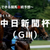 ２０２３中日新聞杯（ＧⅢ）予想