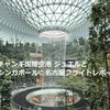 チャンギ空港ジュエルとシンガポール⇒名古屋のフライトレポート【2025.03】