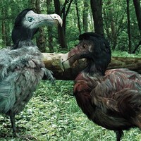 payopayo28の2ch雑学