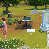 TS4 : Home Chef