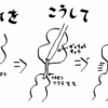 いよいよ検査入院です