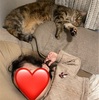 妹思いのあんころもち╰(*´︶`*)╯♡