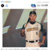 新たな台湾プロ野球