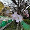 3月25日（火）夢の映像をCHAT GPT 4oで描画させる試みについて
