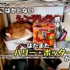 にゃんこたちのお留守番も安心「IoT家電」たち