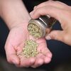 大麻が　悪いものではないような情報を流すマスコミたち、　大麻とて　アヘンや覚せい剤と同じ人間を変えてしまう魔の薬