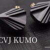 「CVJ kumo」レビュー 金属ボディに詰め込んた16BA 明るく明瞭な音とカスタマイズ性のある4つのスイッチ