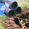 芋掘りゴンスケ
