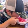 【酷暑】夏祭りで涼を求めてさまよう